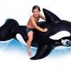 Intex-pool-wholesale-ArtNo-884561